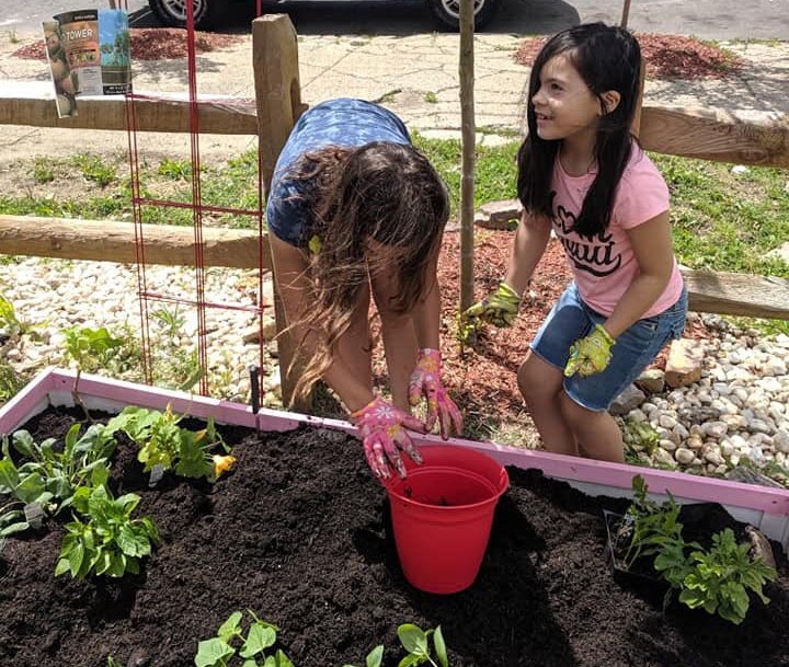 SSJ-GrantProgram-CommunityGarden-at-3rd-and-Erie-girl-planting-cropped