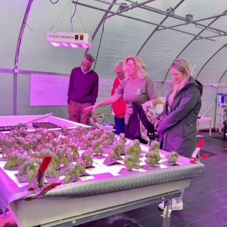 SSJ members in a greenhouse.